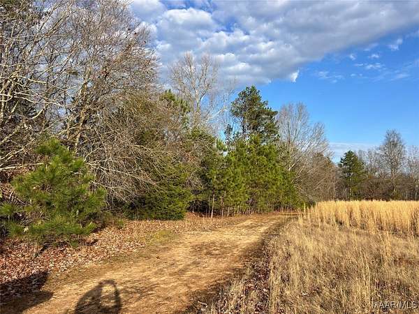 20.7 Acres of Recreational Land for Sale in Wetumpka, Alabama