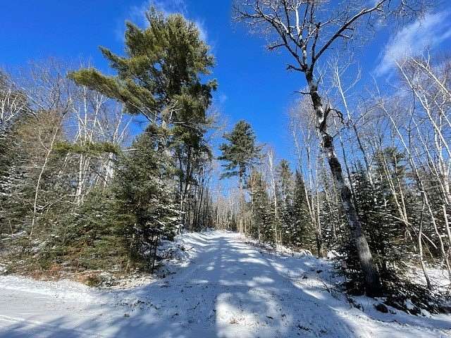 17.1 Acres of Recreational Land for Sale in Loretta, Wisconsin
