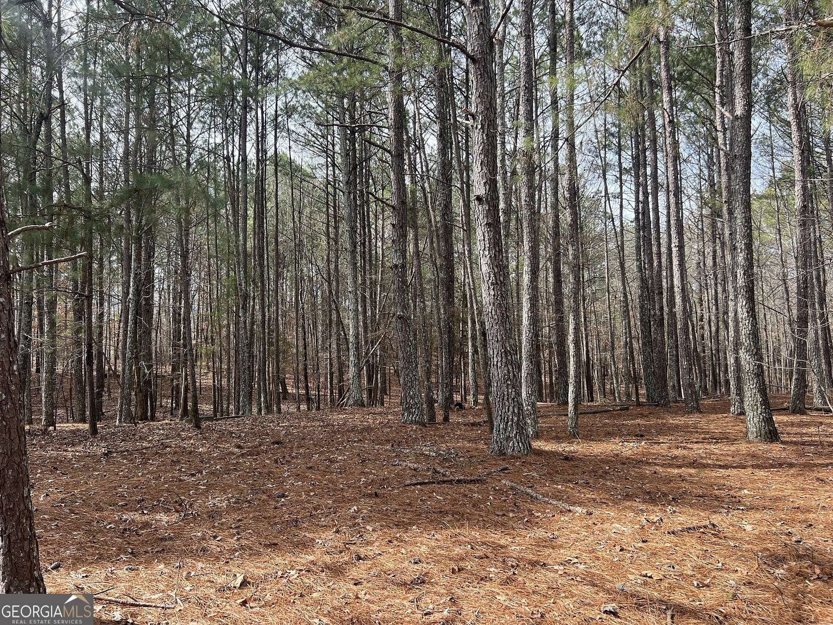 35 Acres of Recreational Land for Sale in Calhoun, Georgia