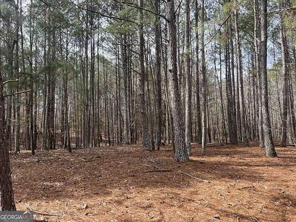 35 Acres of Recreational Land for Sale in Calhoun, Georgia