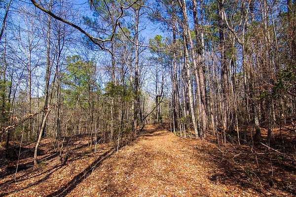 36 Acres of Recreational Land for Sale in Hamilton, Georgia