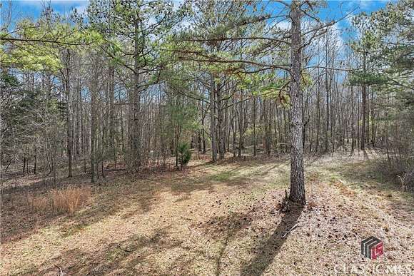 83 Acres of Recreational Land for Sale in Winterville, Georgia