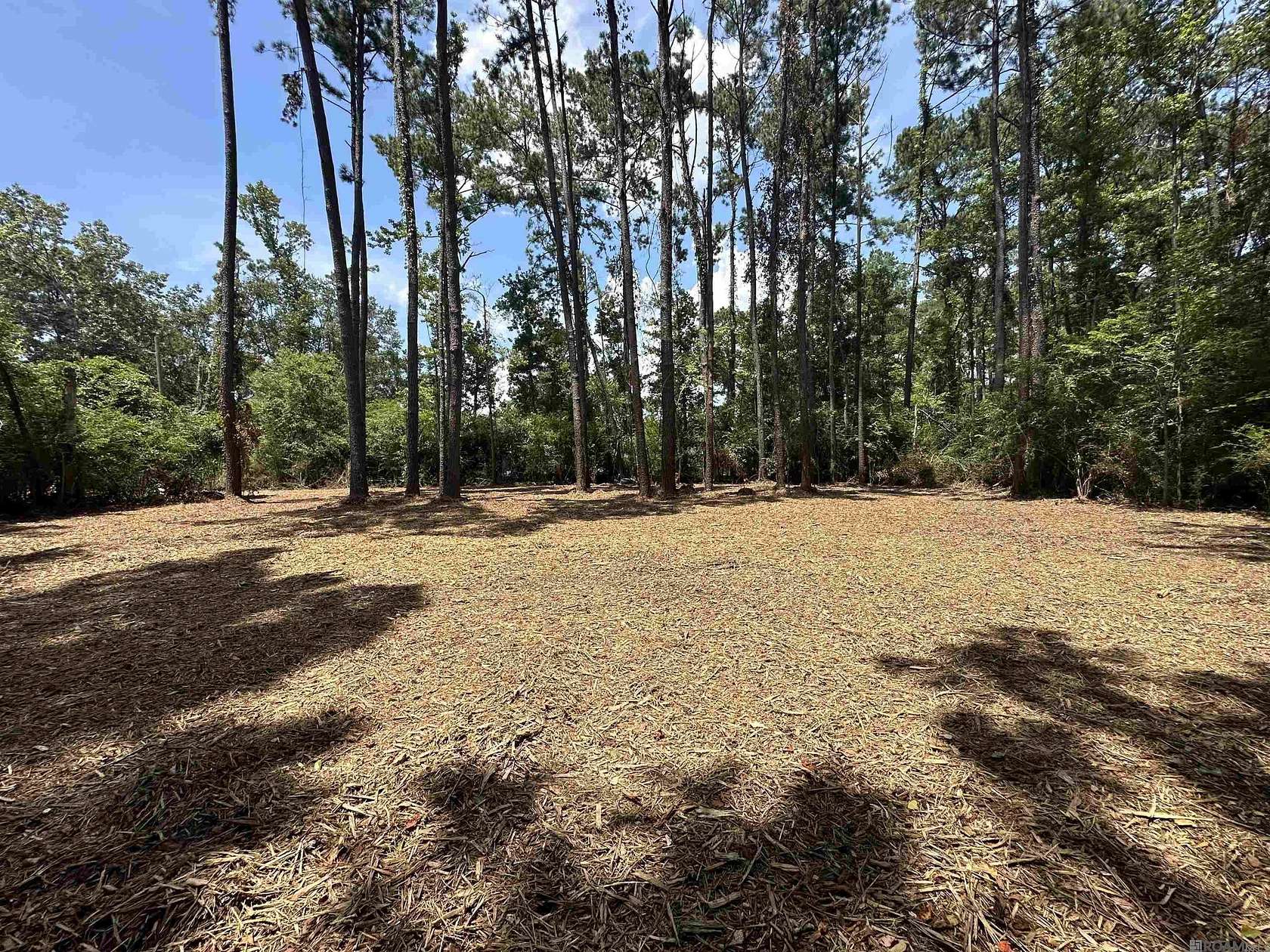 1 Acre of Land for Sale in Denham Springs, Louisiana