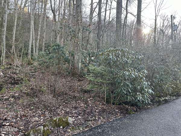 Residential Land for Sale in Norton, Virginia