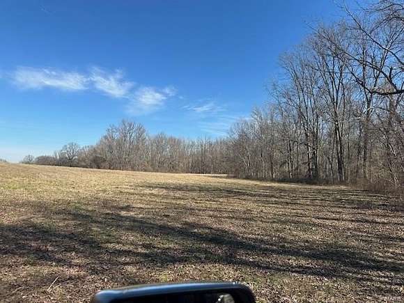 40 Acres of Recreational Land & Farm for Sale in Bloomfield, Missouri