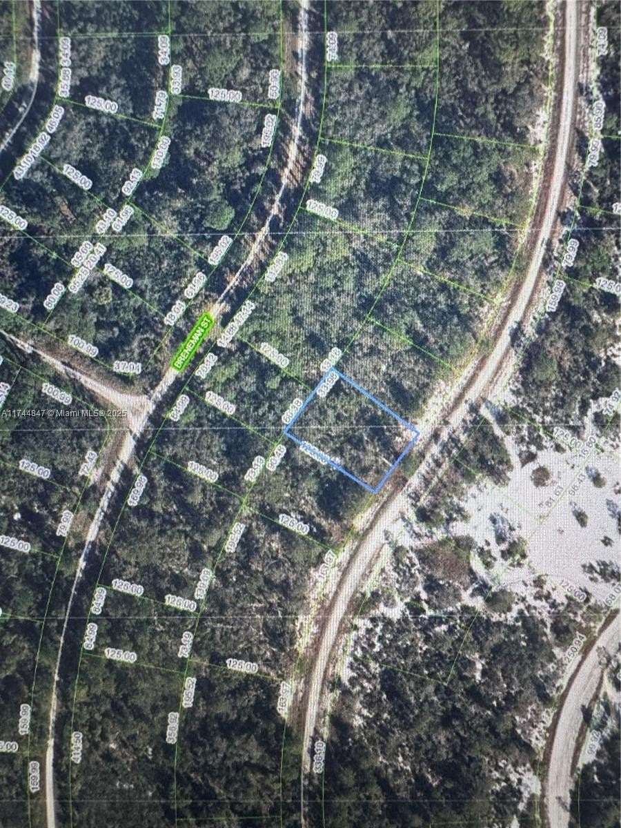 1.21 Acres of Residential Land for Sale in Lake Placid, Florida
