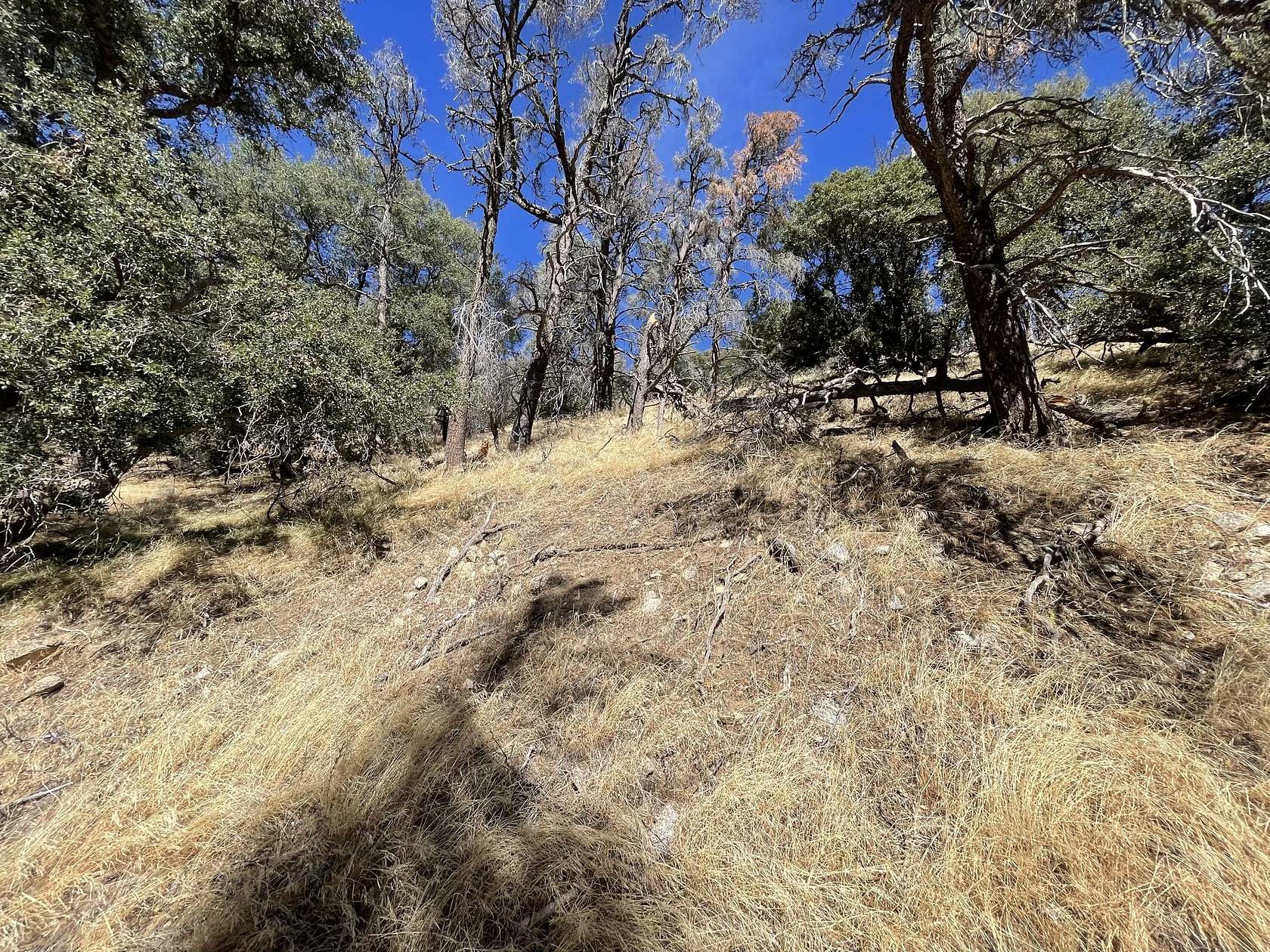 Land for Sale in Tehachapi, California