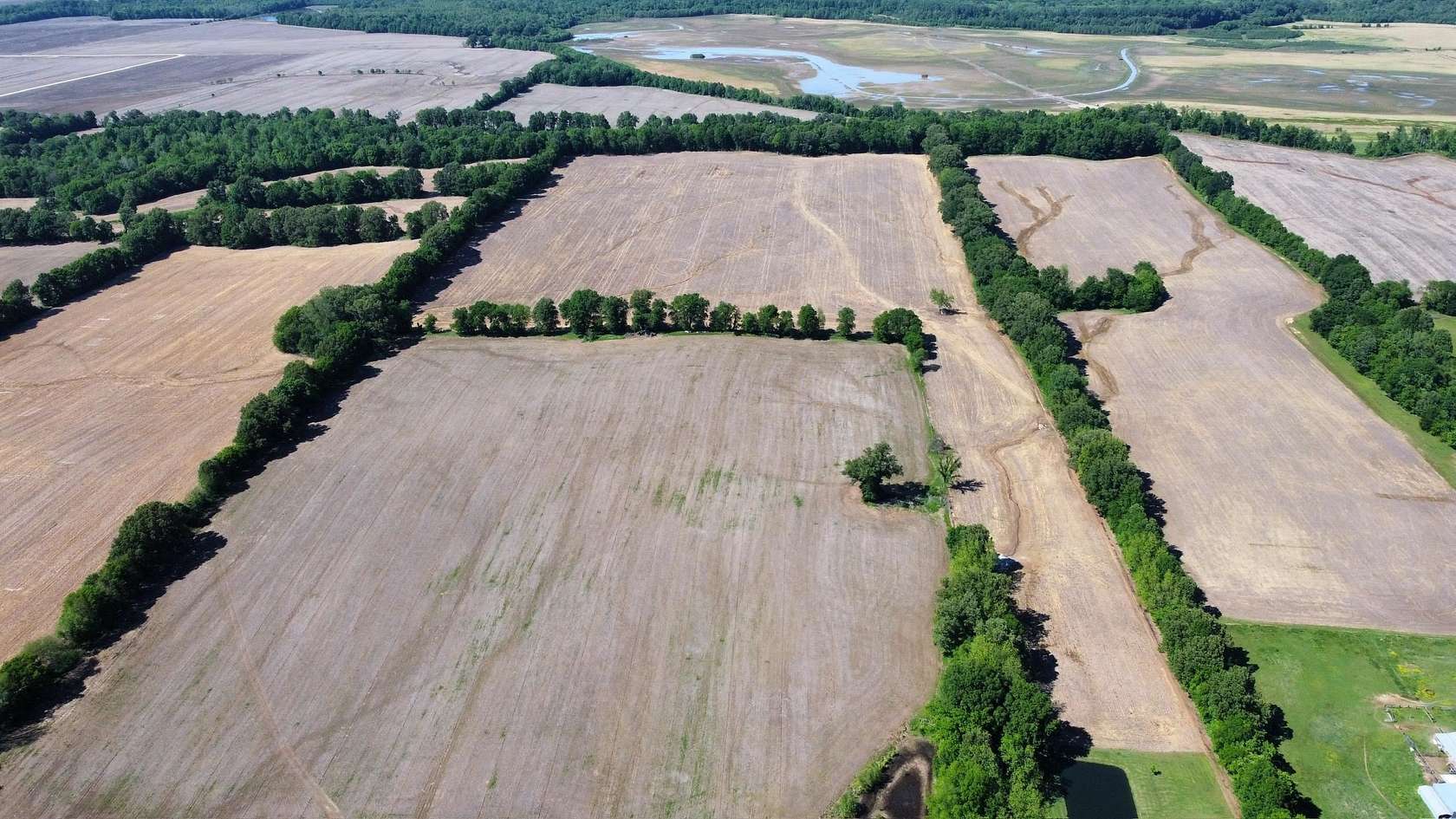 61 Acres of Agricultural Land for Sale in Newbern, Tennessee