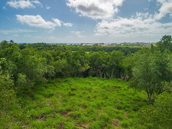 1 Acre of Land for Sale in Kapaa, Hawaii
