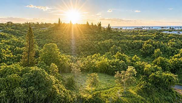 1 Acre of Residential Land for Sale in Kapaa, Hawaii