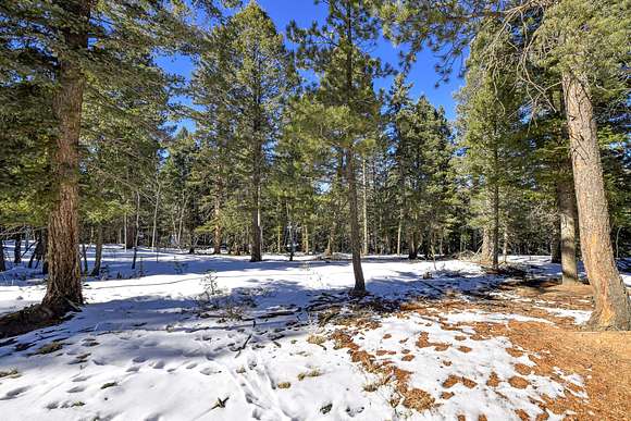 1 Acre of Residential Land for Sale in Divide, Colorado