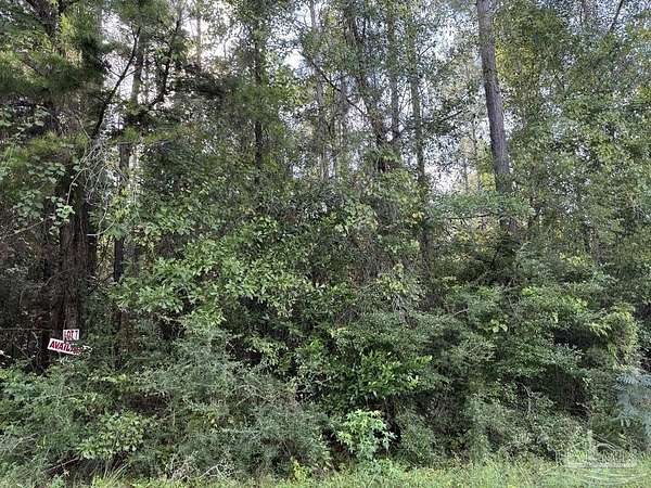 1 Acre of Residential Land for Sale in Cantonment, Florida