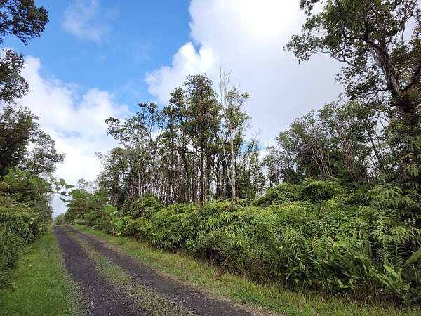 3 Acres of Land for Sale in Volcano, Hawaii
