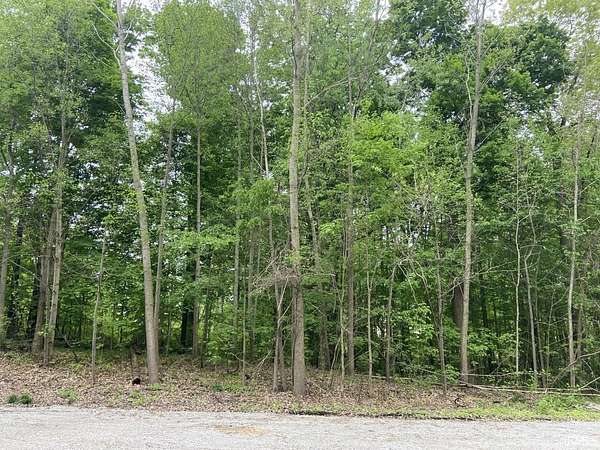 0.31 Acres of Residential Land for Sale in Kendallville, Indiana