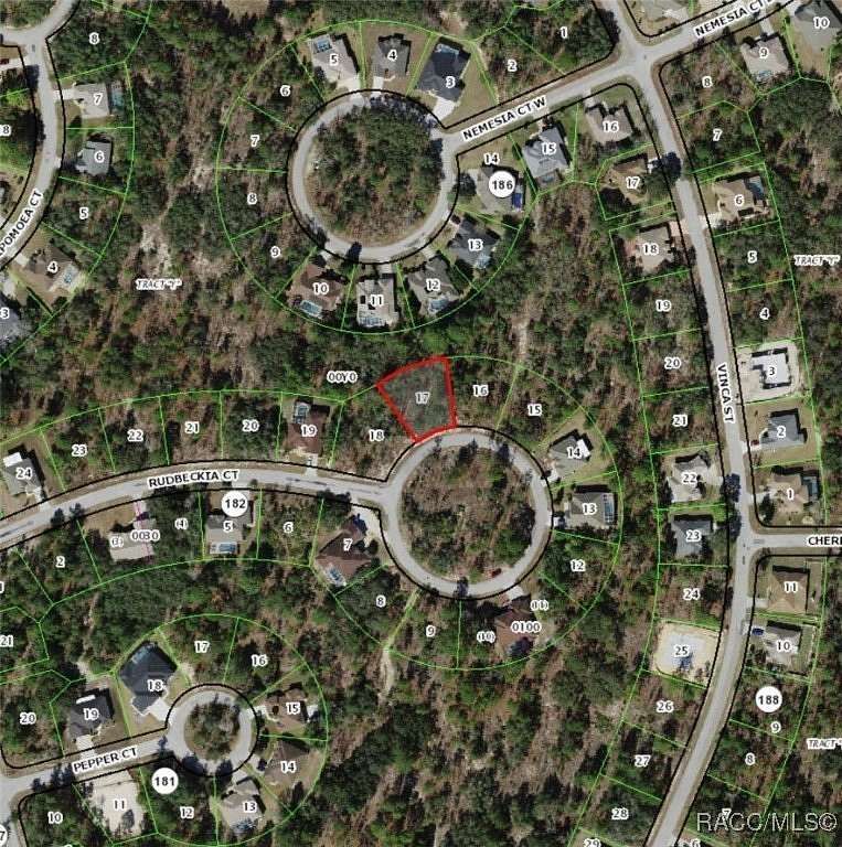 0.28 Acres of Residential Land for Sale in Homosassa, Florida