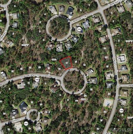 0.28 Acres of Residential Land for Sale in Homosassa, Florida