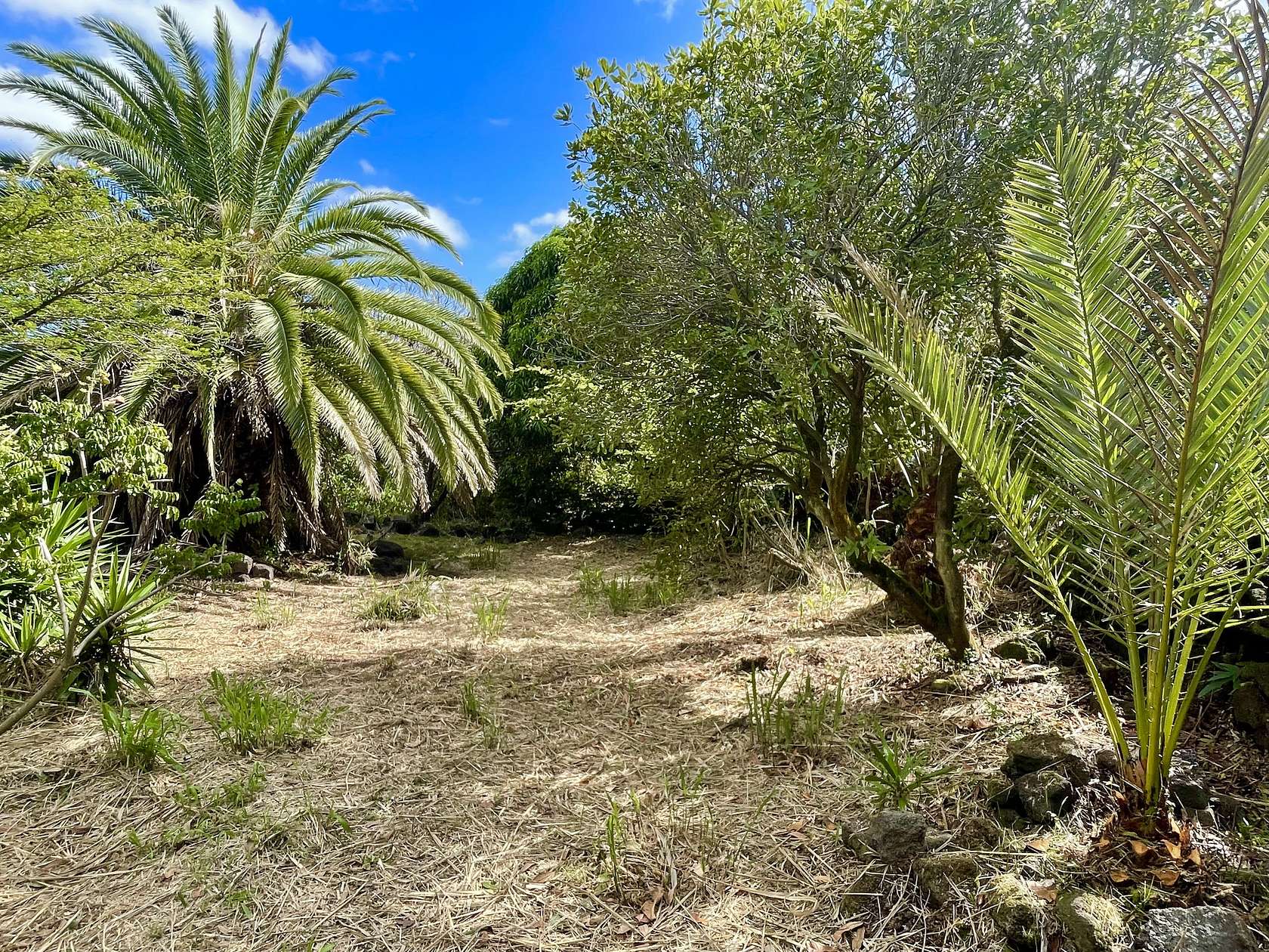 0.31 Acres of Land for Sale in Nāʻālehu, Hawaii