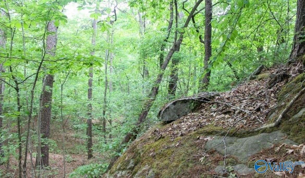 9.89 Acres of Land for Sale in Fort Payne, Alabama