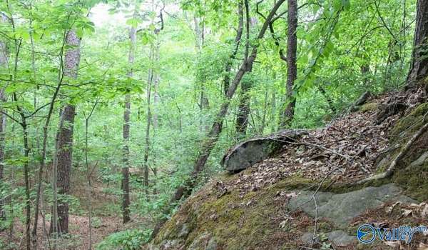 9.89 Acres of Land for Sale in Fort Payne, Alabama