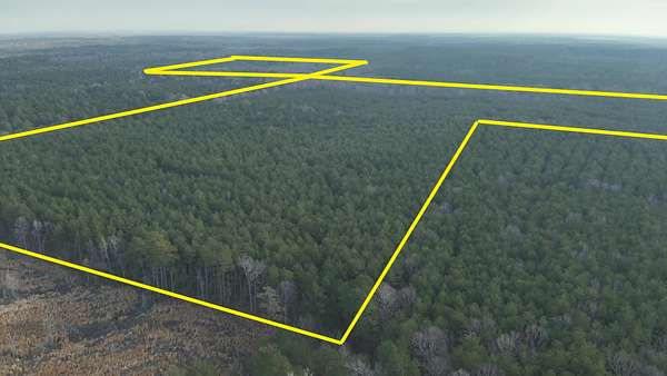 160 Acres of Land for Sale in El Dorado, Arkansas