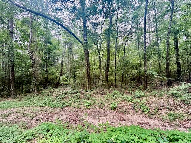 7.5 Acres of Land for Sale in Seminary, Mississippi