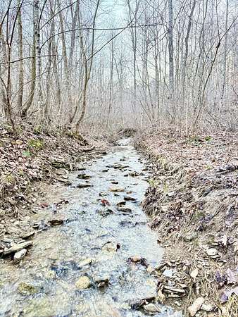 56.7 Acres of Recreational Land for Sale in Stanford, Kentucky