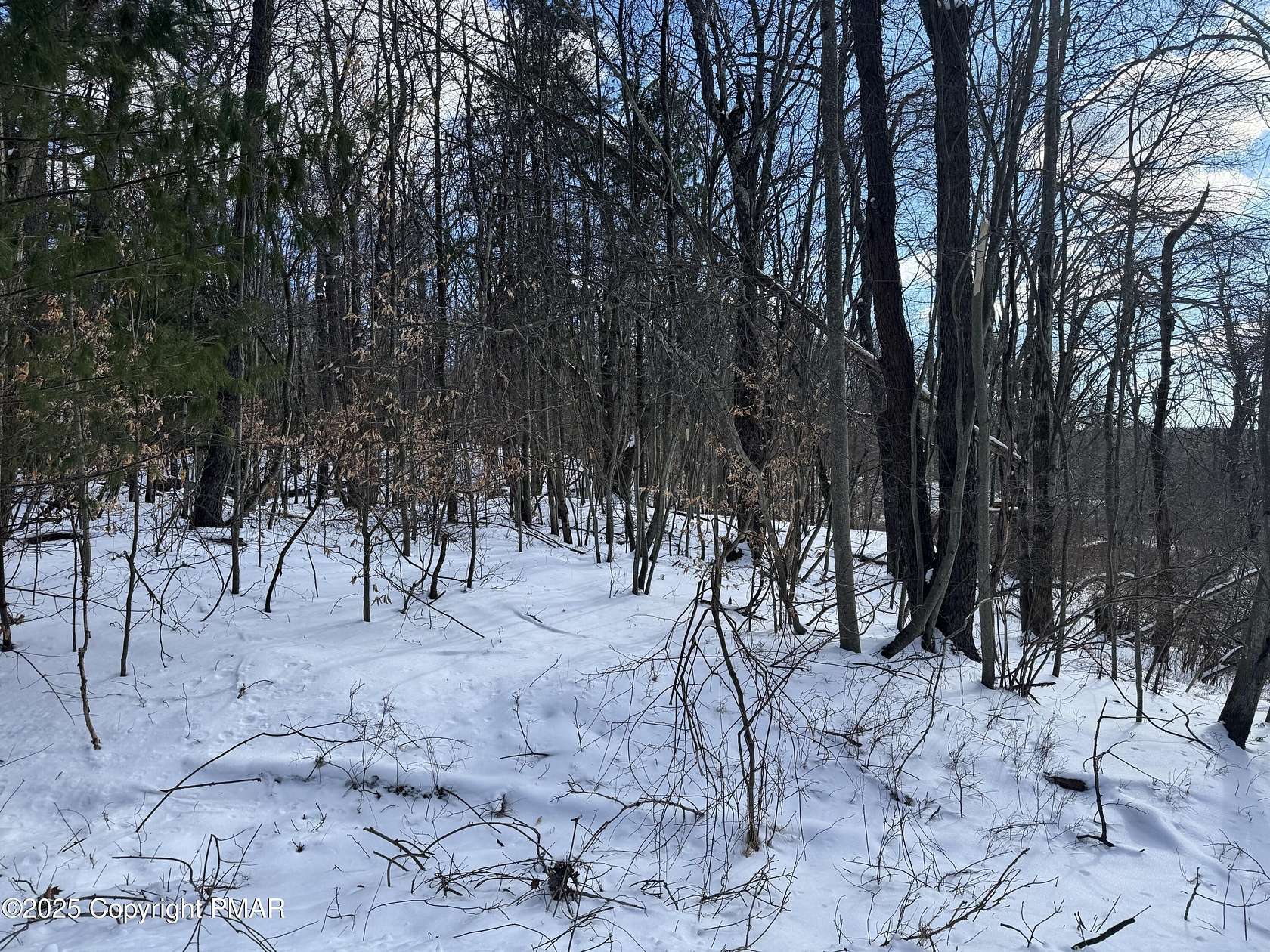 1.64 Acres of Land for Sale in Pocono Lake, Pennsylvania