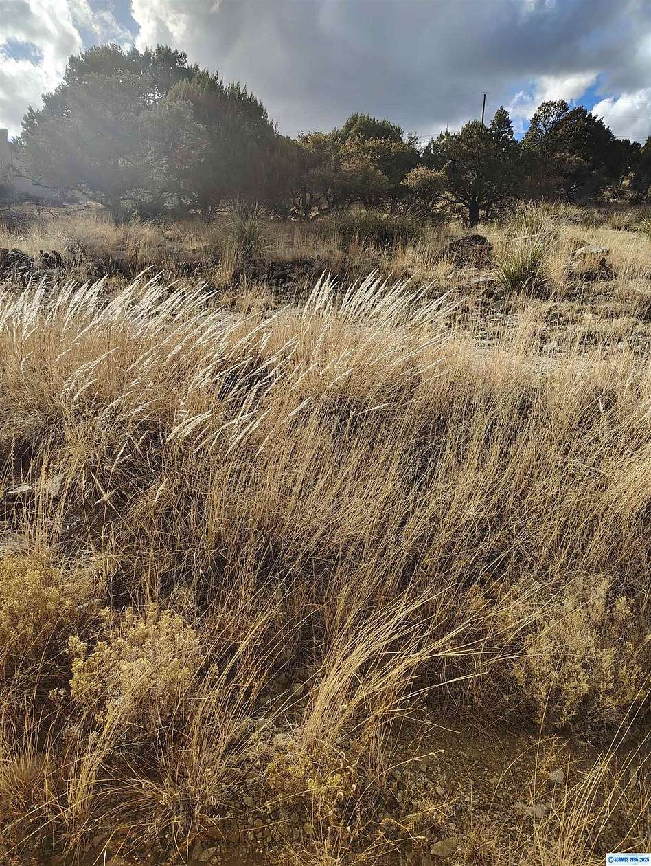 0.75 Acres of Land for Sale in Silver City, New Mexico