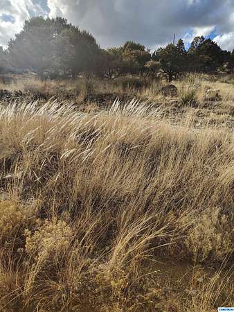 0.75 Acres of Land for Sale in Silver City, New Mexico