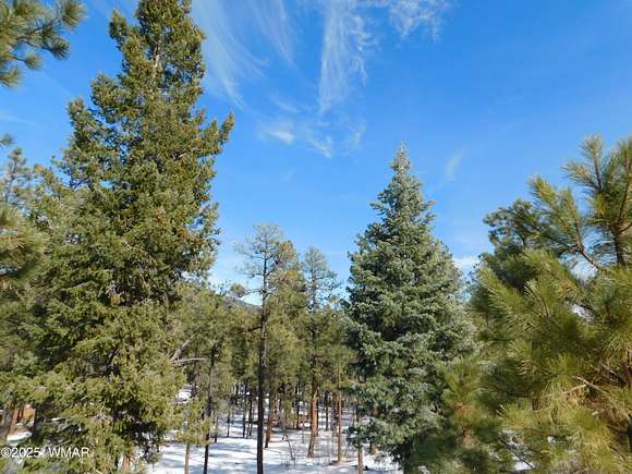 0.54 Acres of Residential Land for Sale in Alpine, Arizona