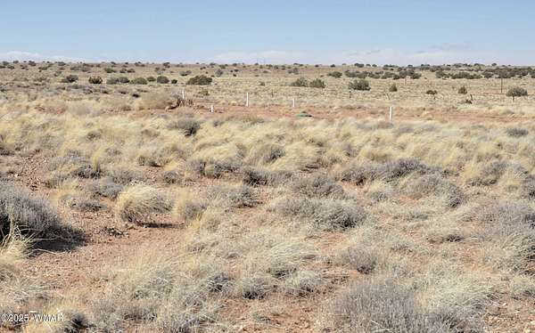 38.3 Acres of Recreational Land for Sale in Snowflake, Arizona