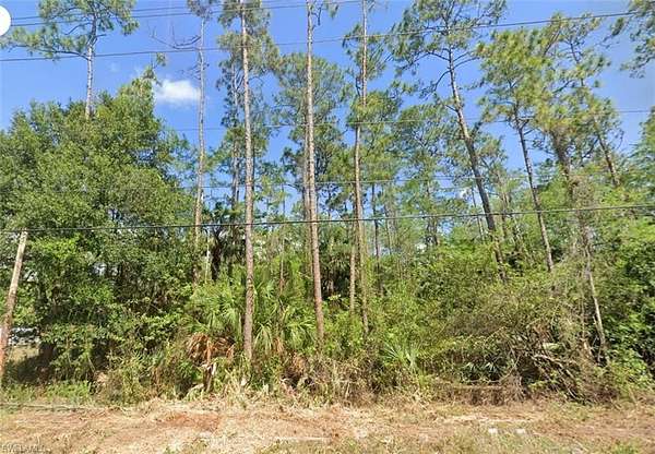 1.17 Acres of Land for Sale in Naples, Florida