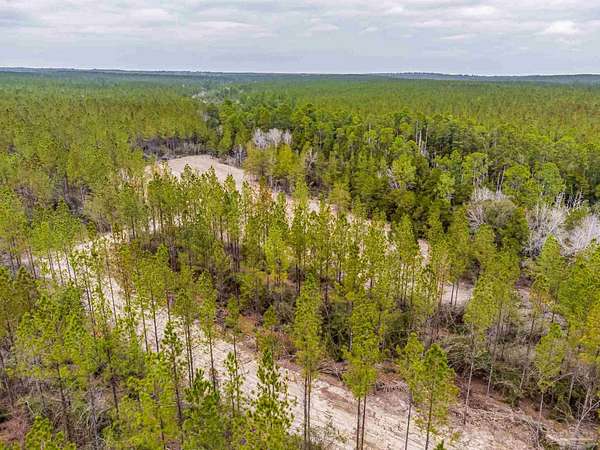 44.2 Acres of Agricultural & Residential Land for Sale in Milton, Florida