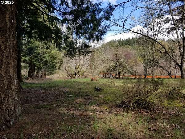 1.25 Acres of Residential Land for Sale in Portland, Oregon