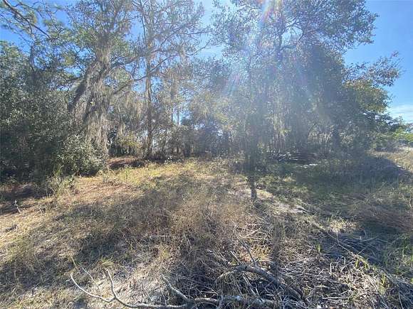 0.2 Acres of Residential Land for Sale in Kissimmee, Florida