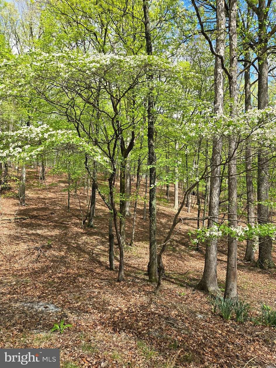 7 Acres of Land for Sale in Great Cacapon, West Virginia