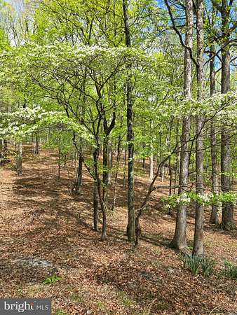 7 Acres of Land for Sale in Great Cacapon, West Virginia