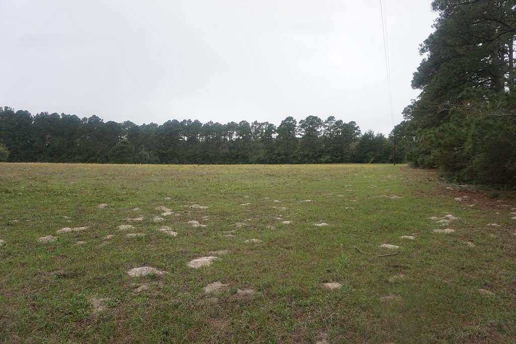 10 Acres of Land for Sale in Bedias, Texas