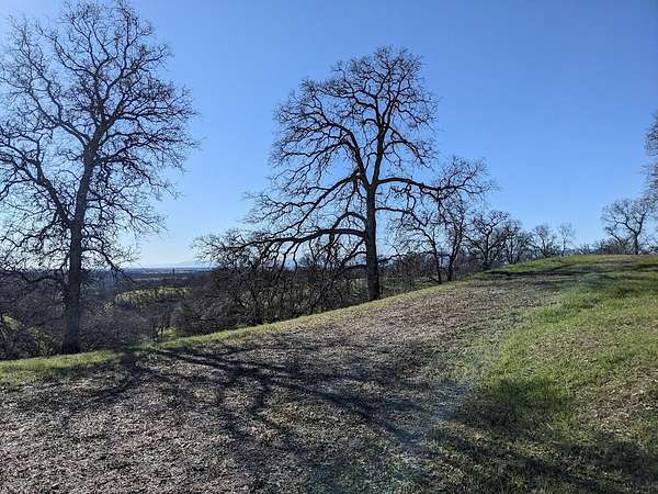66.9 Acres of Land for Sale in Red Bluff, California