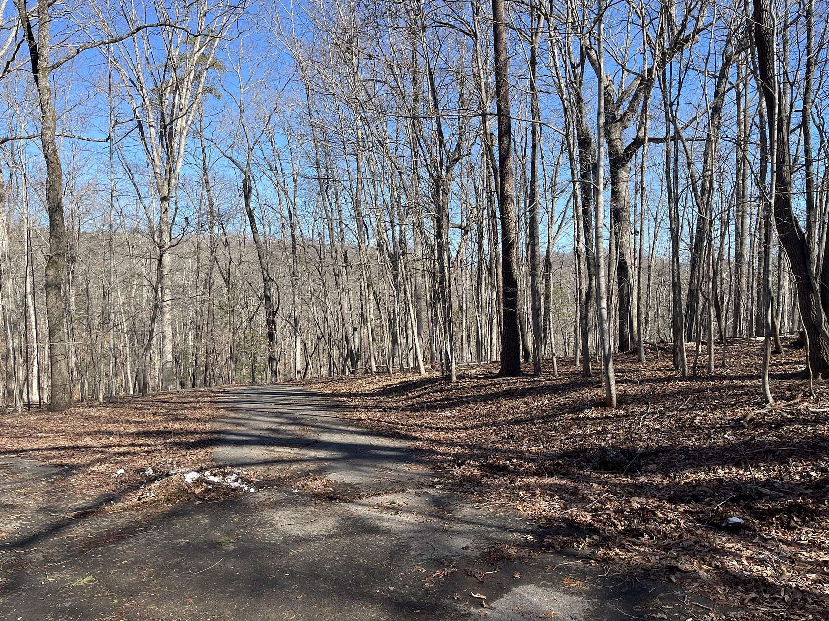 0.67 Acres of Land for Sale in Moneta, Virginia