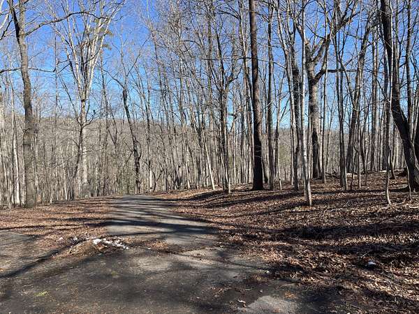 0.67 Acres of Land for Sale in Moneta, Virginia