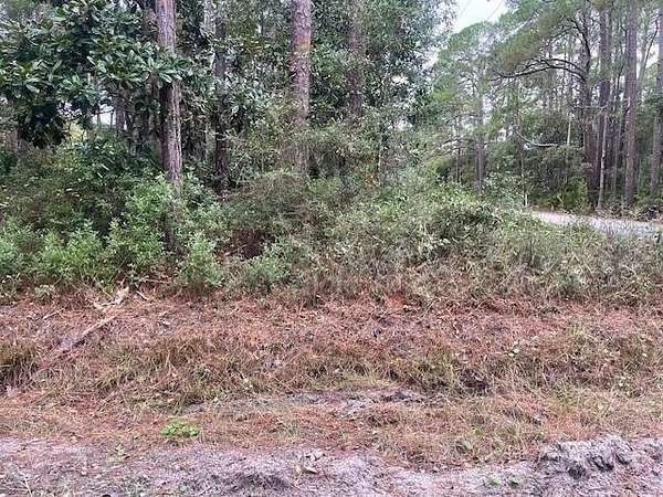 0.52 Acres of Land for Sale in Panacea, Florida