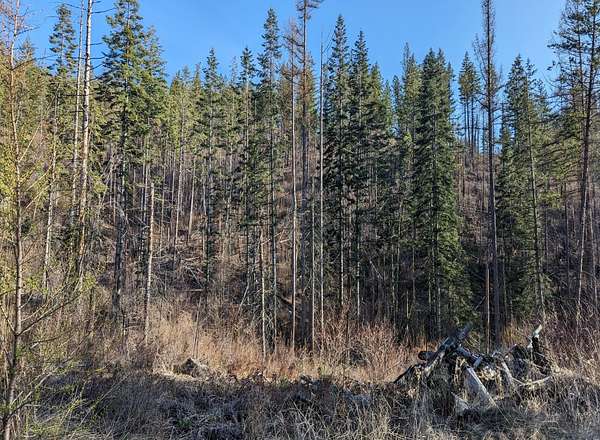 160 Acres of Recreational Land & Farm for Sale in Fruitland, Washington