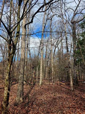 0.58 Acres of Residential Land for Sale in Crossville, Tennessee