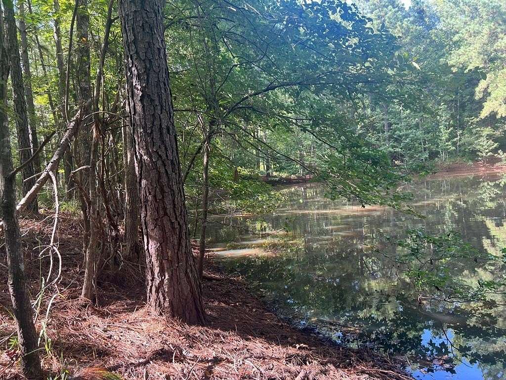 50 Acres of Recreational Land with Home for Sale in Palestine, Texas