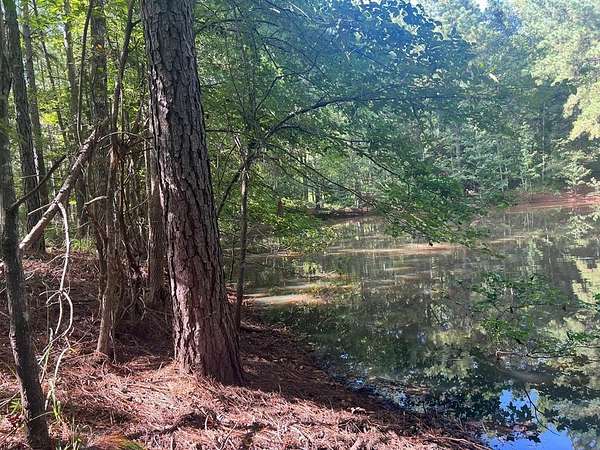 50 Acres of Recreational Land with Home for Sale in Palestine, Texas