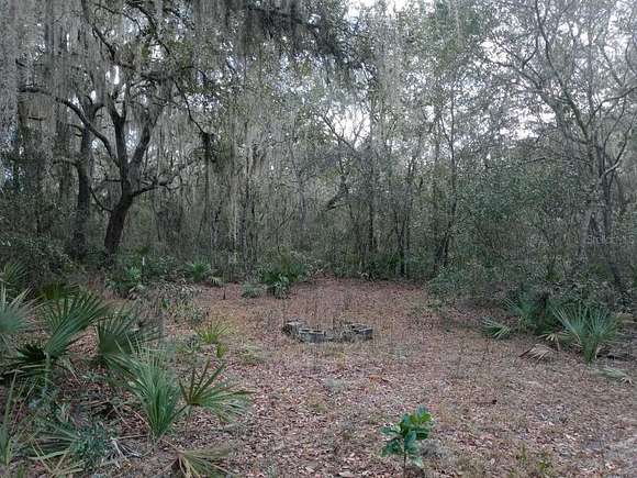 0.63 Acres of Residential Land for Sale in Fort McCoy, Florida