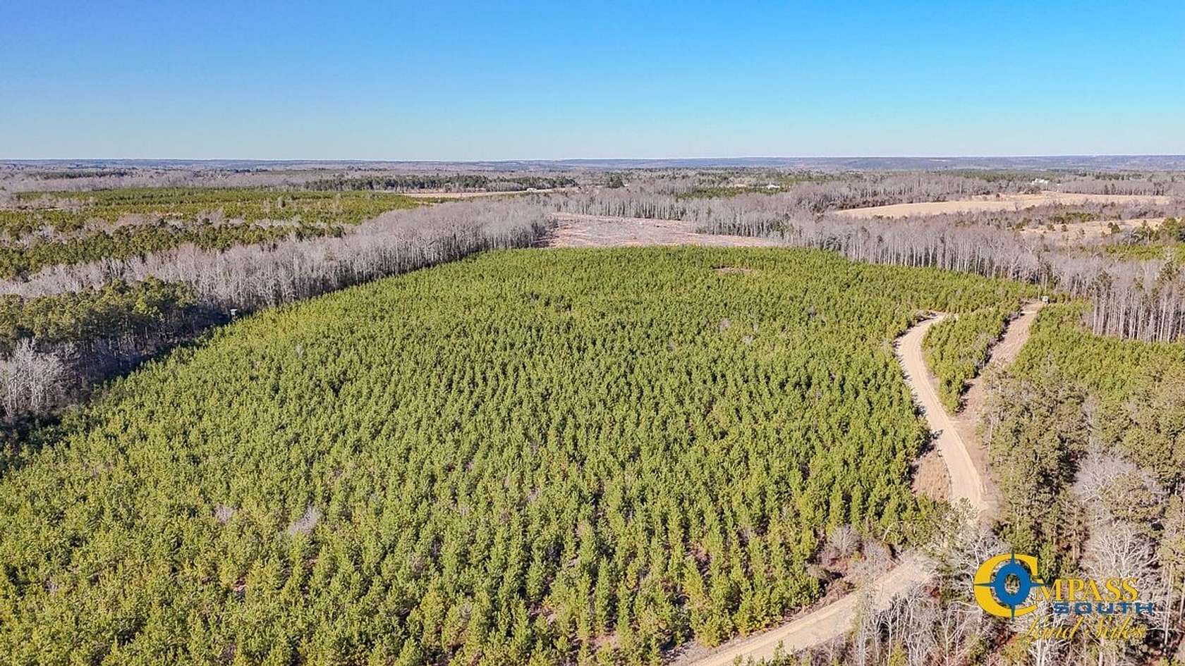 76 Acres of Recreational Land for Sale in Jefferson, South Carolina