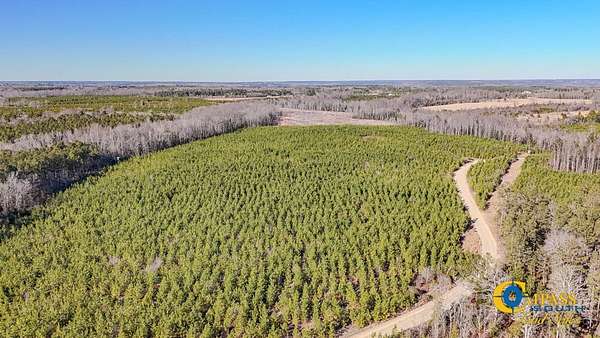 76 Acres of Recreational Land for Sale in Jefferson, South Carolina