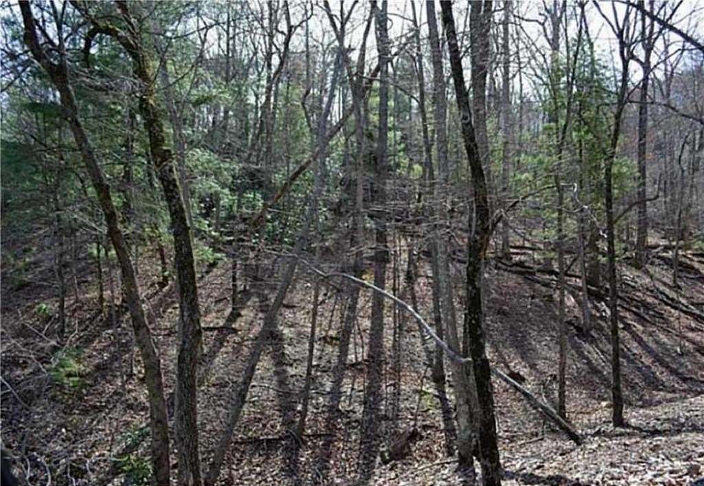 1.47 Acres of Residential Land for Sale in Jasper, Georgia